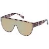 Aire Sunglasses - Continuum - Cookie Tort 1 Aire Sunglasses - Continuum - Cookie Tort