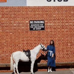 Binny - 'CHAMPION GALLOWAY HACK' Brushed Cotton Pinstripe Check Midi Dress With Webbing Belt
